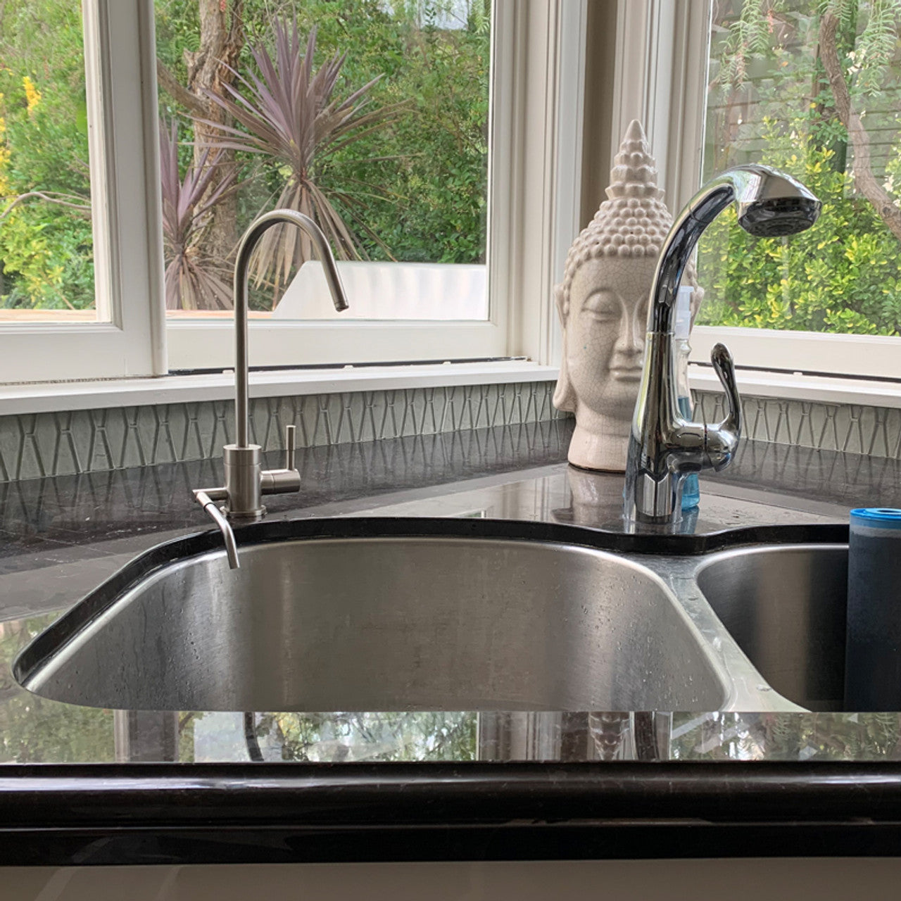 Ionizer Faucet 04 - Satin Nickel