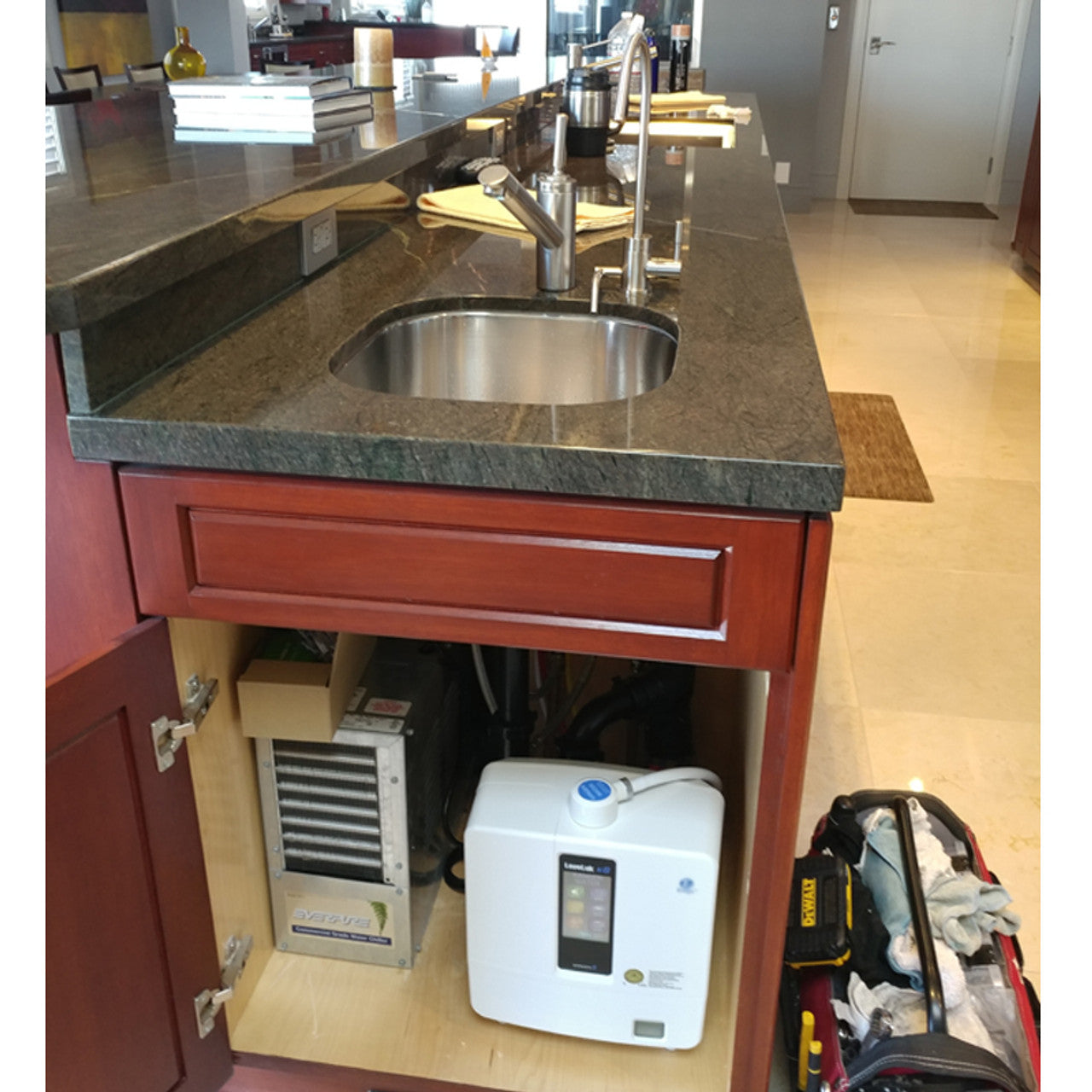 Ionizer Faucet 04 - Satin Nickel